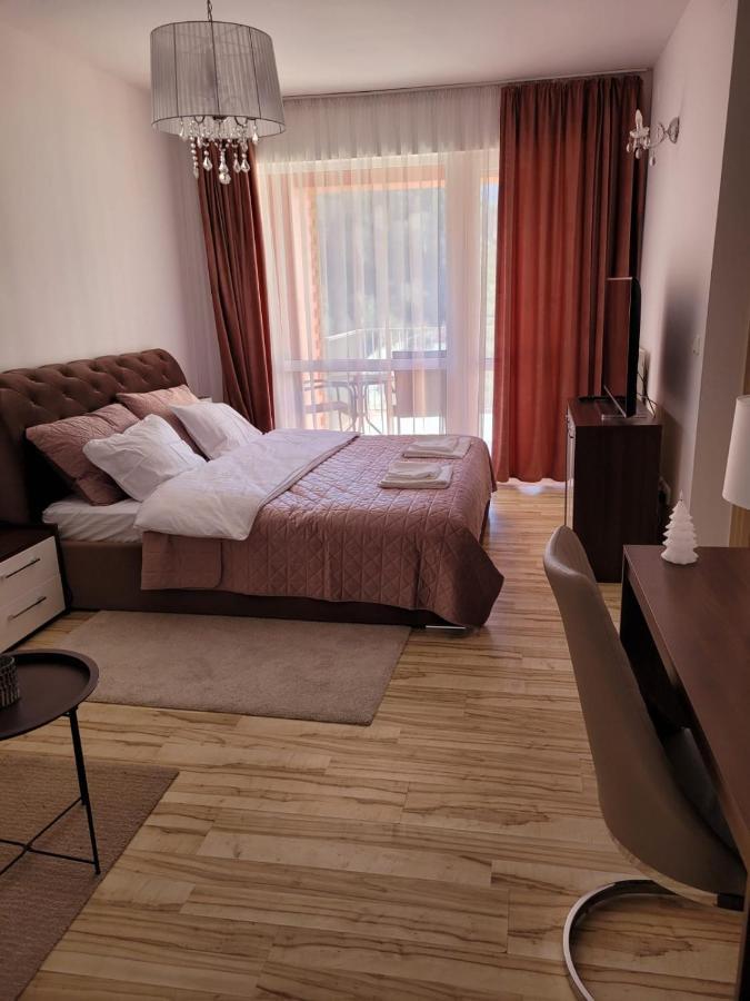 Апартаменты Sinaia Belleview Экстерьер фото